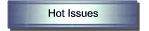 Hot Issues